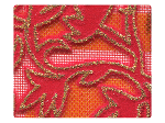 143 Gold Leaf Velvet Red Mesh -Stiletto